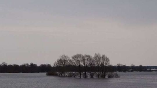 Kryłów zagrożony powodzią