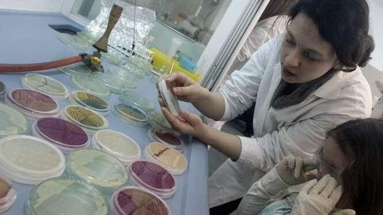 Warsztaty \"DNA Encyklopedia Życia”