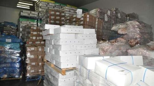 150 ton mięsa w nielegalnej chłodni w Tomaszowie