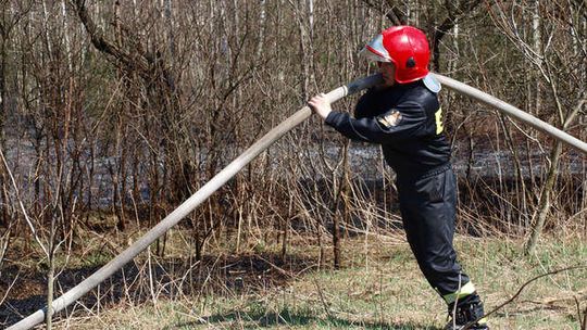 Pożar w lesie w Poniatowej