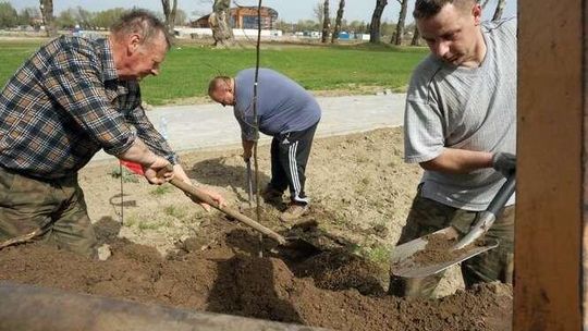 Stężyca: Mieszkańcy posadzili kilkaset drzewek