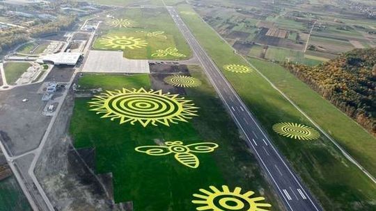 Lotnisko Lublin. Pszczoły Koziary przywitają samoloty