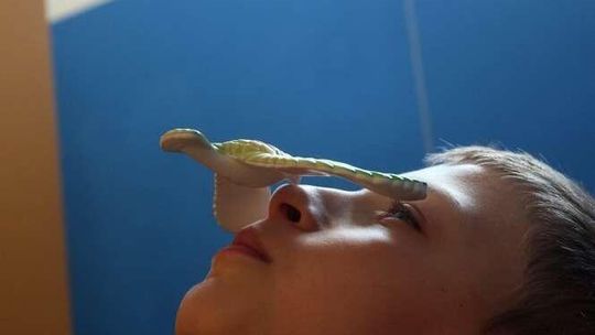 Wystawa edukacyjna w Galerii Labirynt