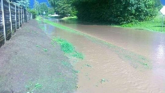 Sporniak Palikijski: Rzeka zamiast drogi