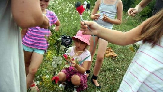Lato w Mieście: Plecenie wianków