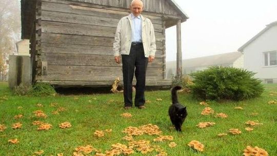 Opieńki pana Wiesława