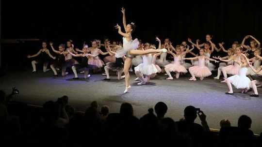 \"Jezioro Łabędzie\" w świdnickim MOK