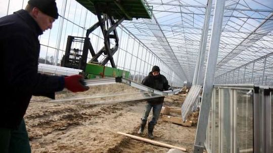 Budowa szklarni w Kawce
