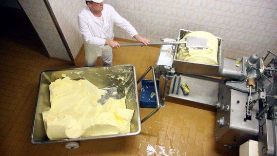 Spółdzielnia Mleczarska w Bychawie