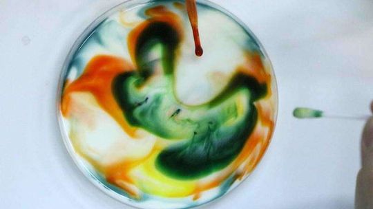 Trwa Noc Biologów w Lublinie