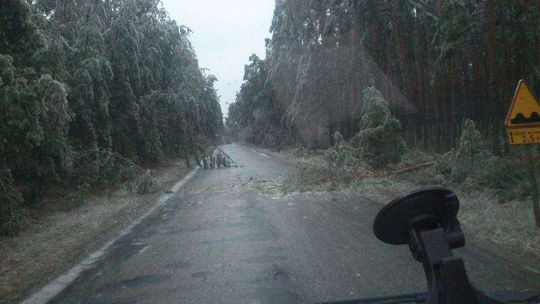 Marznący deszcz utrudnia życie kierowcom