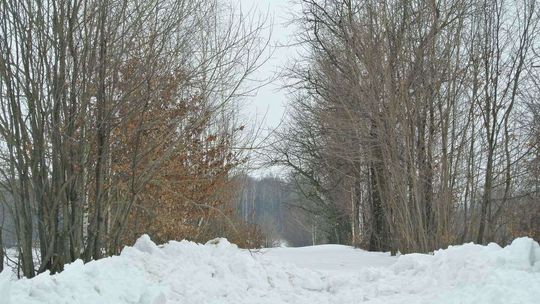 Utknęli w domu pod lasem Utknęli w domu pod lasem