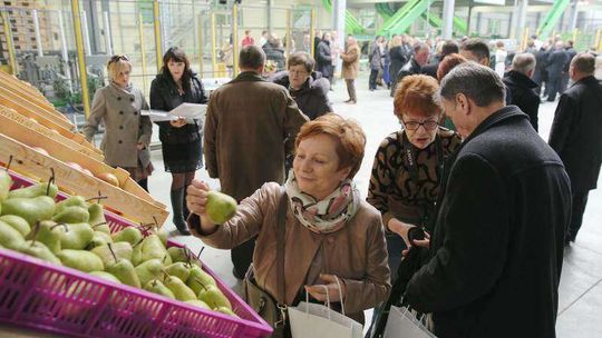 W Piotrawinie otwarto centrum logistyczne 