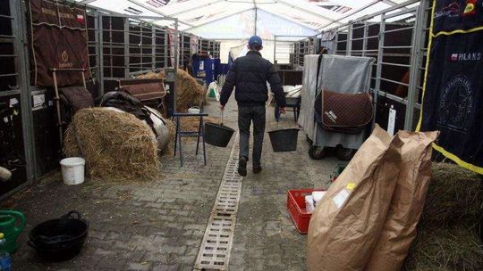Przygotowania do Cavaliady