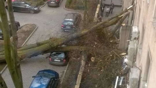 Drzewo przewróciło się na budynek Urzędu Skarbowego
