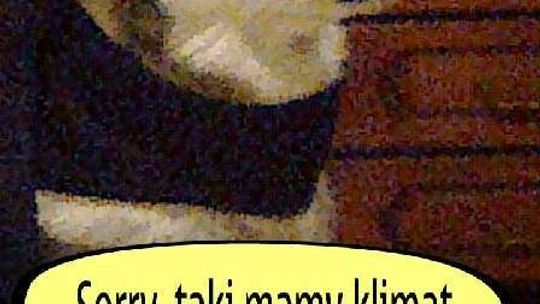 Zwierzaki 2014 wybrane (zdjęcia)