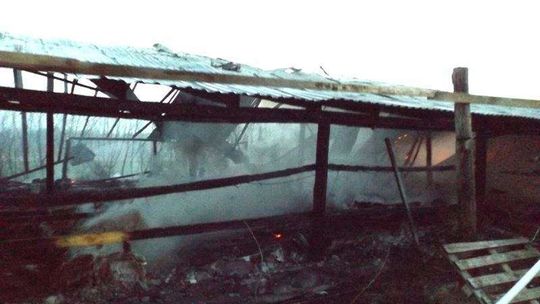 Pożar kurnika w miejscowości Krasne Krzywe 