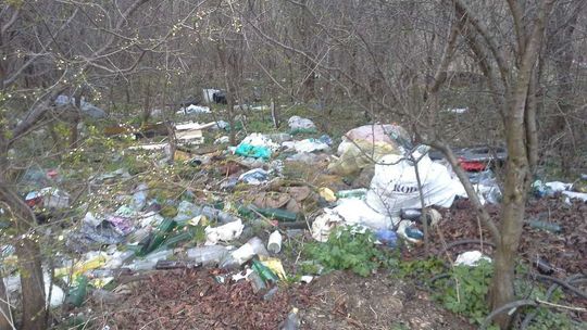 Dzikie wysypiska koło Zalewu Zemborzyckiego