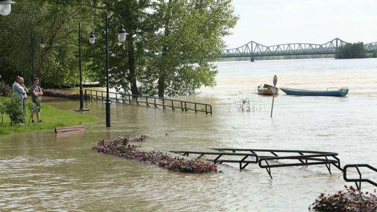 Wysoki stan wód Wisły w Puławach