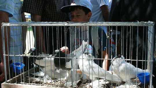 Dzień Otwartych Drzwi w LODR w Końskowoli