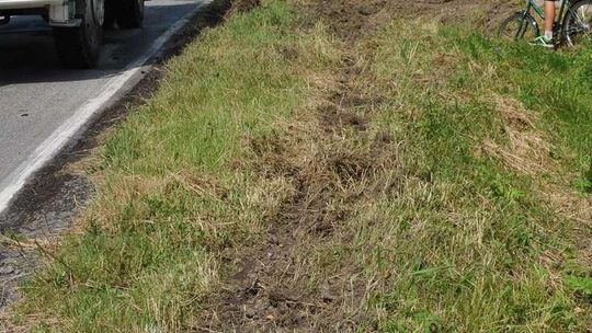 Przewróciła się ciężarówka przewożąca świnie