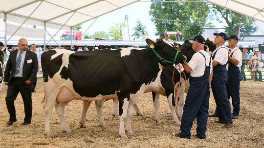Wystawa i targi rolnicze w Sitnie