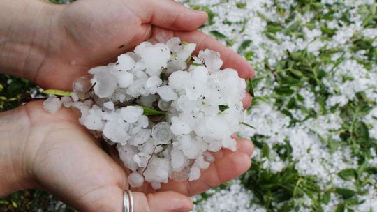 Grad między Końskowolą a Kurowem