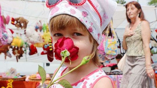 Święto Róż w Końskowoli