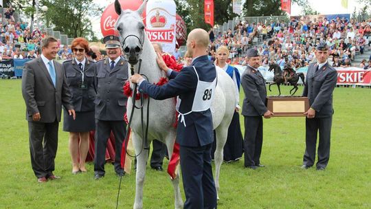 Dni Konia Arabskiego 2014 Dni Konia Arabskiego 2014