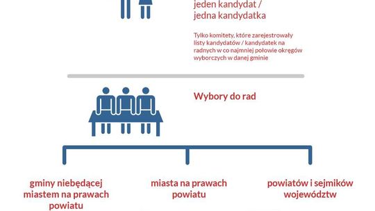 Wybory samorządowe 2014