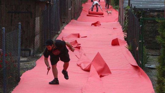 Czerwony Dywanik na ul. Dzierżawnej Czerwony Dywanik na ul. Dzierżawnej