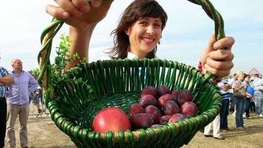 Dożynki wojewódzkie w Niemcach