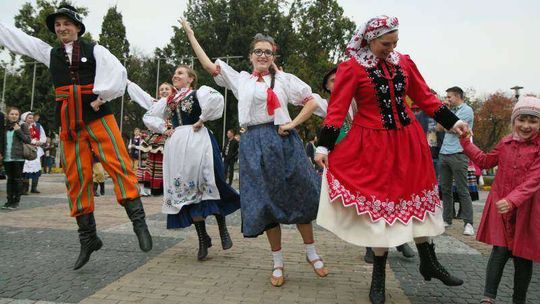 Akcja „Wytnij hołubca” w Lublinie Akcja „Wytnij hołubca” w Lublinie