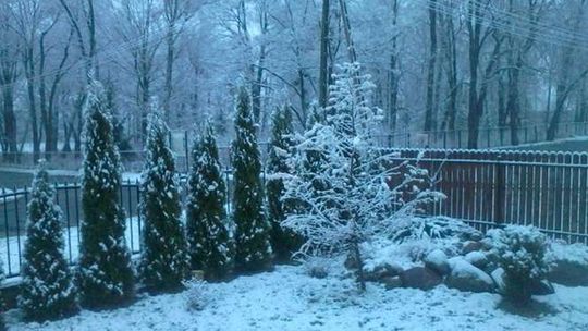 Pierwszy śnieg w woj. lubelskim