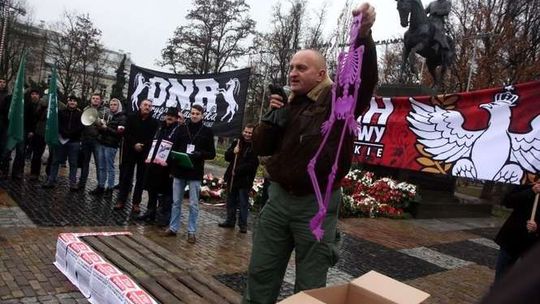 Manifestacja Ruchu Narodowego