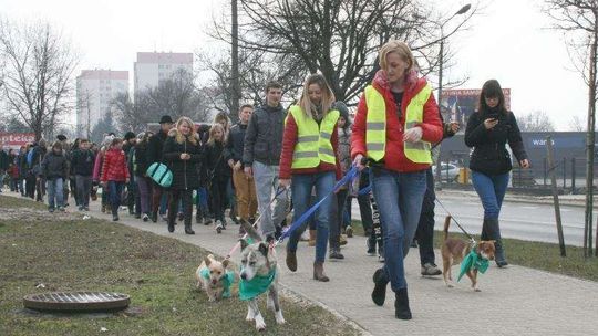 Otwarcie schroniska w Puławach