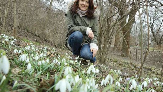 Ogród Botaniczny UMCS