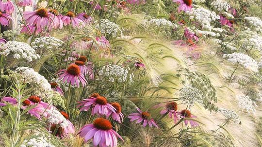 International Garden Photographer of the Year