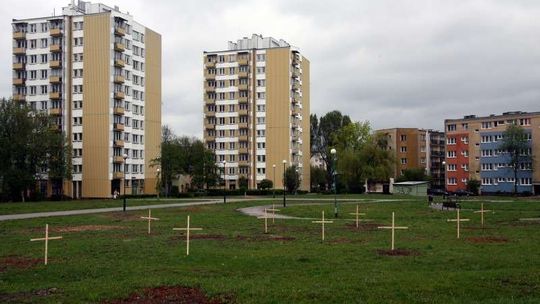 Krzyże w miejscu wyciętych drzew na Bronowicach