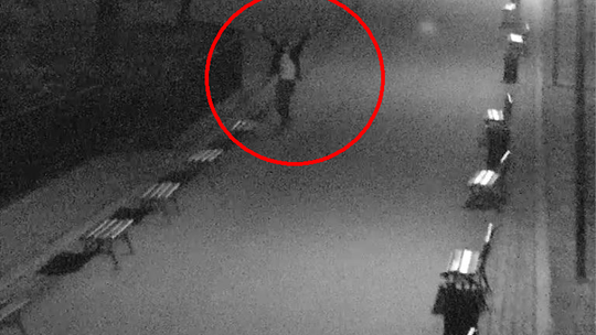 Wandale złapani dzięki kamerom miejskiego monitoringu