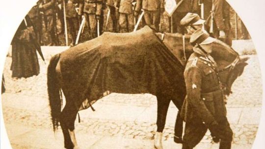 Wystawa w MDK nr 2 Wystawa w MDK nr 2