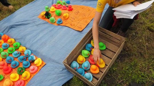 Charytatywny wyścig kaczek w Lublinie Charytatywny wyścig kaczek w Lublinie