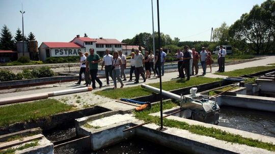 Opole Lubelskie - Owocne Inwestycje