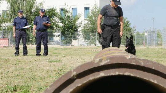 Eliminacje do Kynologicznych Mistrzostw Policji 