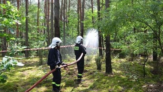 Ćwiczenia puławskich strażaków