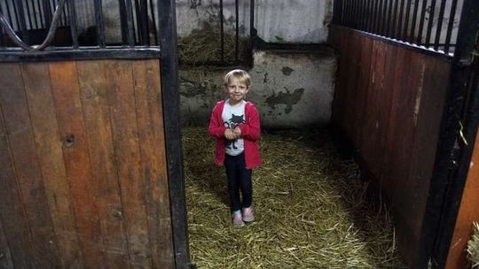 Pasowanie na jeźdźca w LFJ w Lublinie