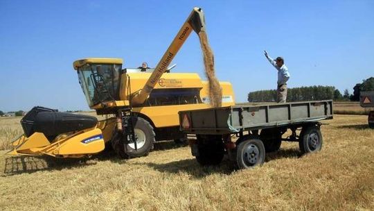 Żniwa w podlubelskiej wsi Żniwa w podlubelskiej wsi