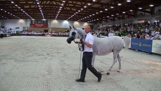 Pride of Poland: Pepita