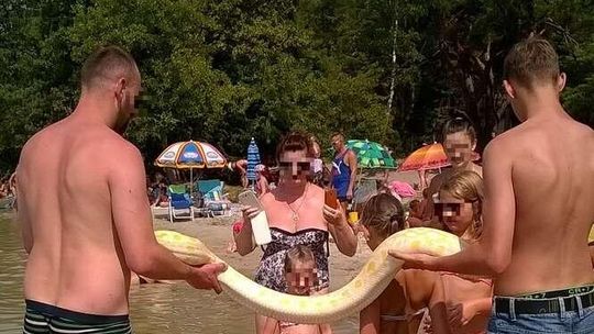 Jezioro Białe. Z pytonem na plażę Jezioro Białe. Z pytonem na plażę