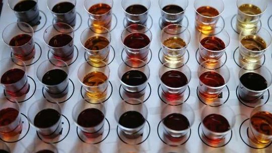 Europejski Festiwal Smaku - sobota